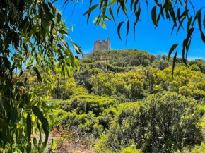 Torre di Chia Holiday Home IT11101CR Chia